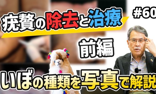 五子尿康贴的功效与副作用-【五子健功效作用副作用】五子尿康贴的功效和作用 - 五子尿康贴的功效网